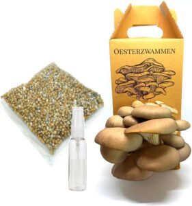 Oesterzwammen kweekset - growkit om paddenstoelen te kweken op koffiedik - duurzaam, leerzaam & origineel cadeau