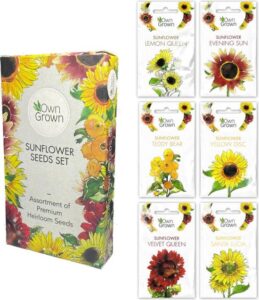 OwnGrown - Zonnebloemenenzaden set- 6 verschillende soorten zonnebloemen - Voor binnen, tuin en balkon - Eco-vriendelijke verpakking