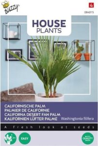 Zaad - Buzzy Zaden - Kamerplant Californische Palm