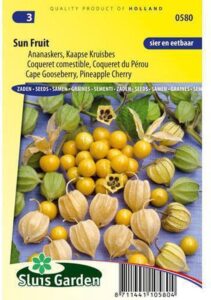 Zaad - Sluis Garden - Ananaskers (Physalis peruviana)