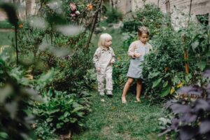 houtsnippers in tuin